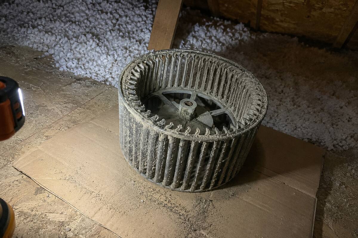Blower wheel pulled from an air handler, the vanes packed with gray dust